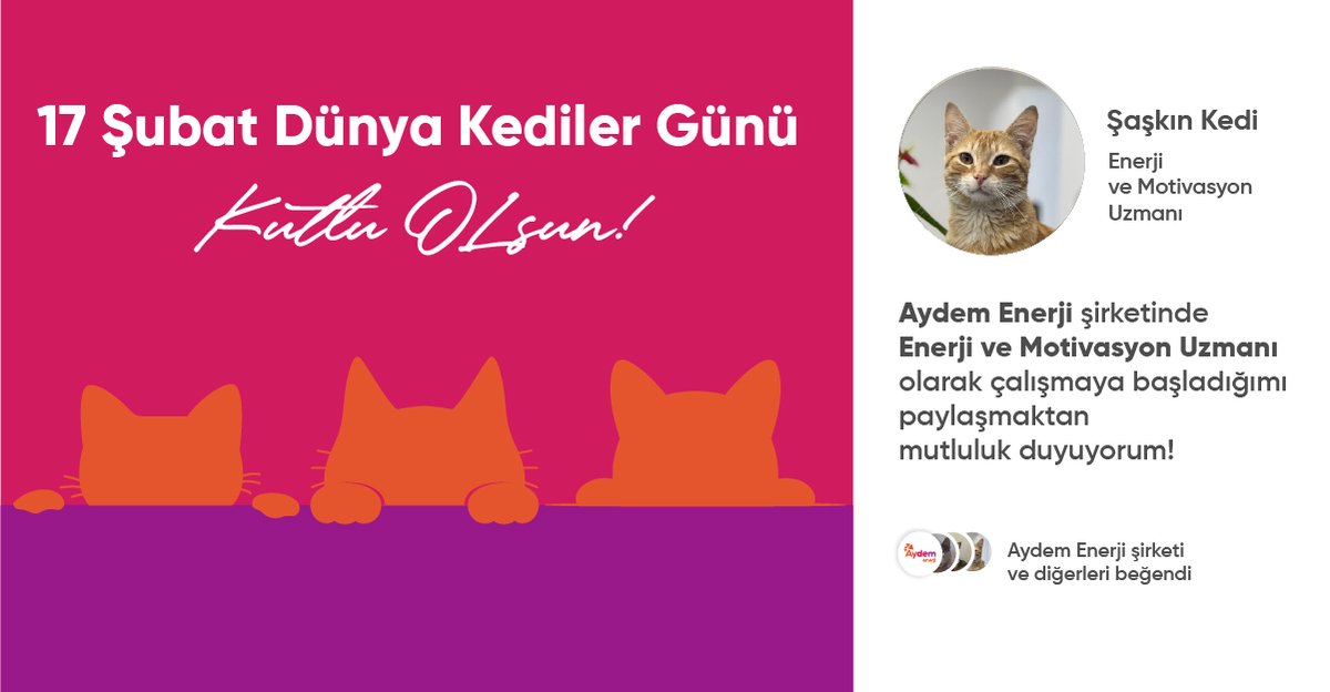 ElsanEmaye's tweet photo. Yeni ekip arkadaşlarımızla tanışın! 🐈‍⬛

CV’lerinde “profesyonel mırlama” ve “klavye üzerinde uyuma” yetkinlikleri yazıyordu, biz de dayanamadık. 😻

Şirketimizin en tüylü, en neşeli ve kesinlikle en sevimli kadrosu artık görev başında. Dünya Kediler Günü kutlu olsun! 🐾✨ https://t.co/6tFeLsnV5k