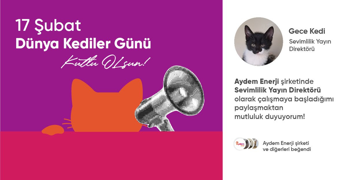 ElsanEmaye's tweet photo. Yeni ekip arkadaşlarımızla tanışın! 🐈‍⬛

CV’lerinde “profesyonel mırlama” ve “klavye üzerinde uyuma” yetkinlikleri yazıyordu, biz de dayanamadık. 😻

Şirketimizin en tüylü, en neşeli ve kesinlikle en sevimli kadrosu artık görev başında. Dünya Kediler Günü kutlu olsun! 🐾✨ https://t.co/6tFeLsnV5k