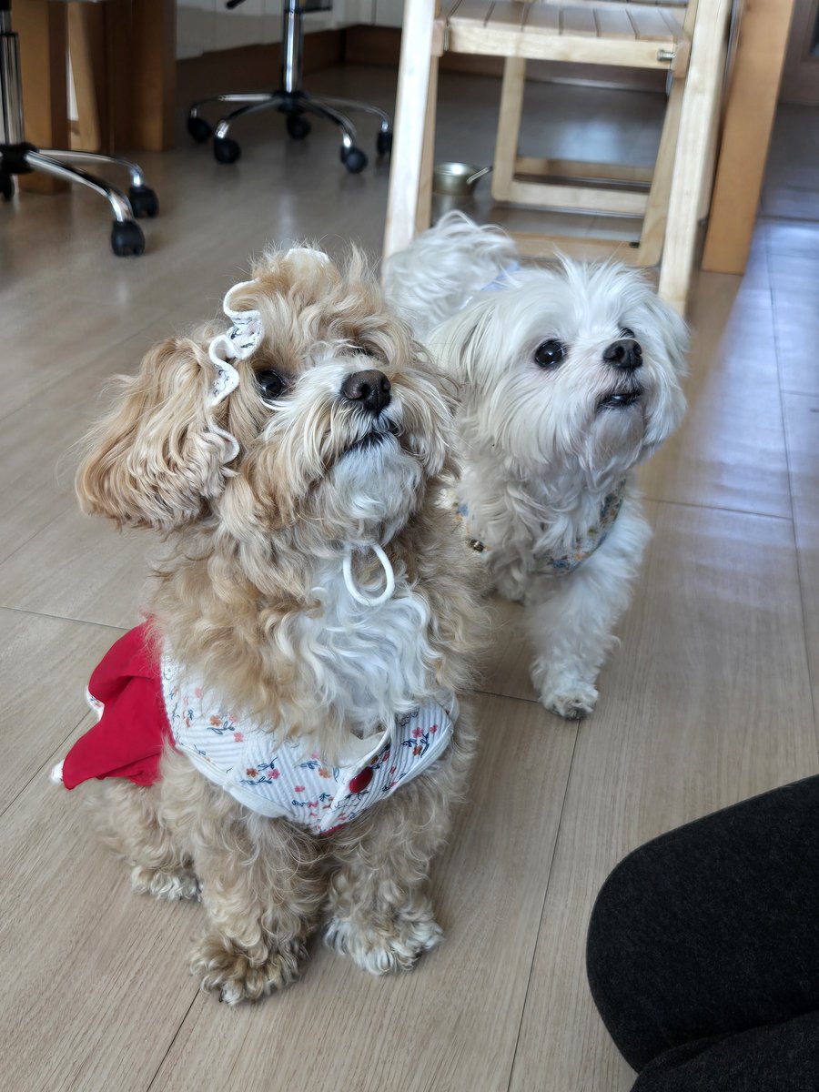 silly yeonjun (@sillyjjuni) on Twitter photo 