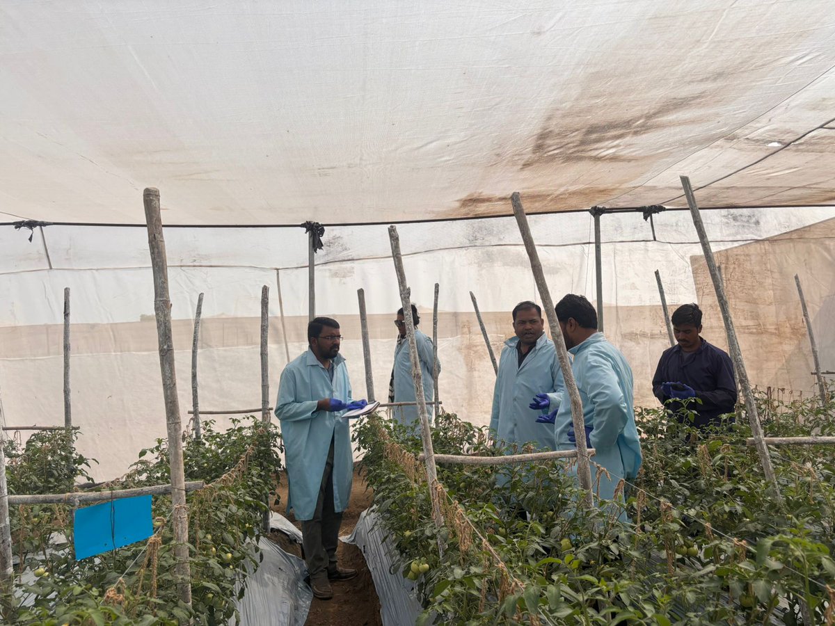 BDSustainableS's tweet photo. Our Blue Door team worked with farmers in Maharashtra to understand plastic mulch challenges and test compostable alternatives in real field conditions.

✨ Strong weed control
💧 Better moisture retention
🌡️ Optimal soil temperature
🌿 Uniform crop growth https://t.co/Bbz6cA67XJ