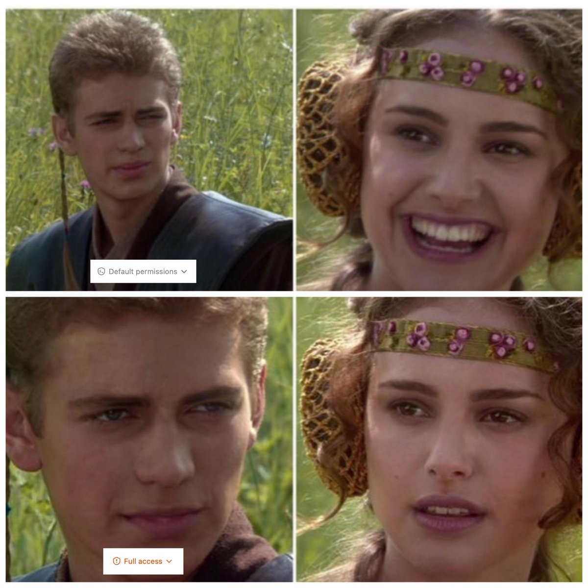 The Codex experience...