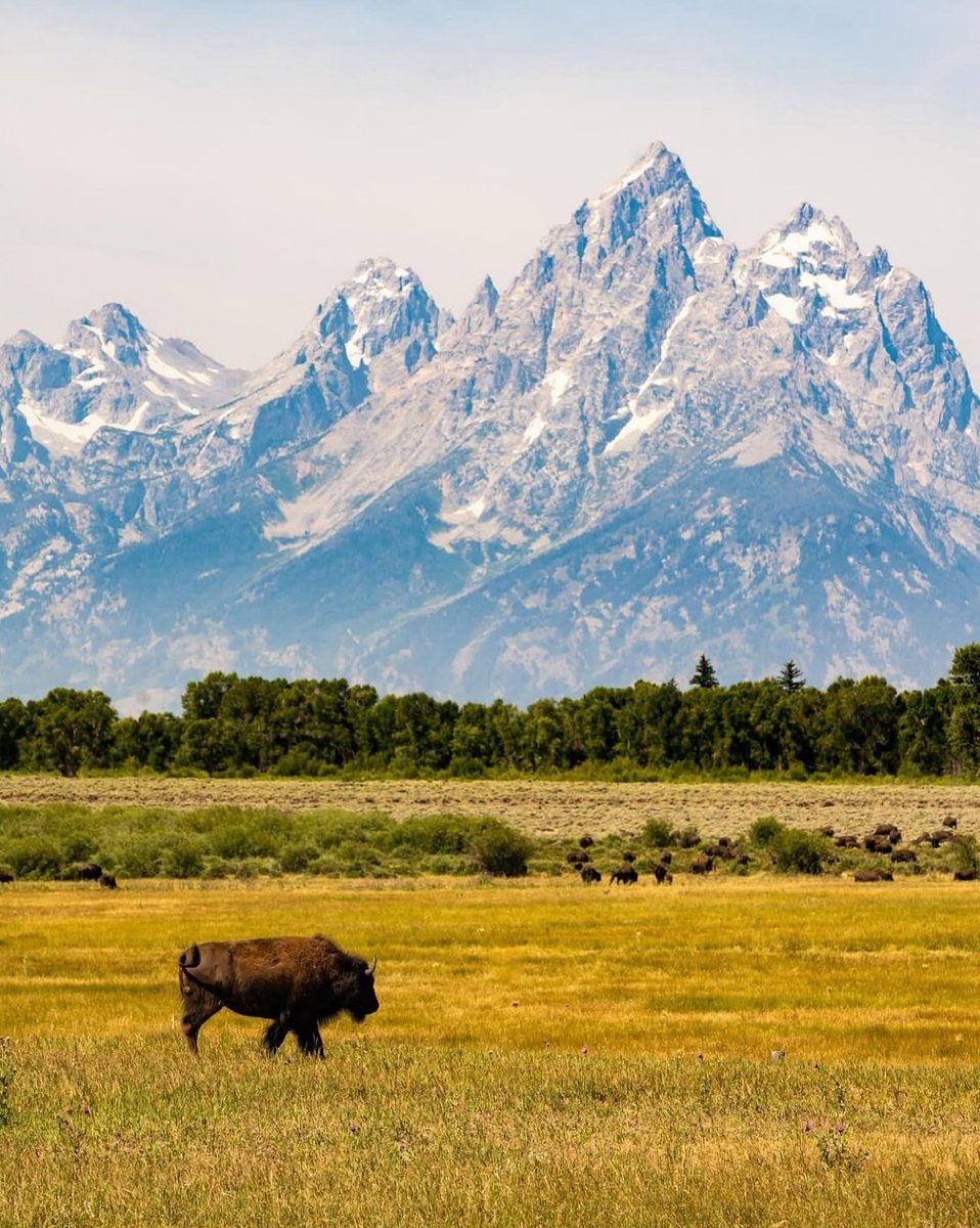 worldclick56's tweet photo. Grand Teton, Wyoming 🇺🇲 https://t.co/VzmrENbb7G