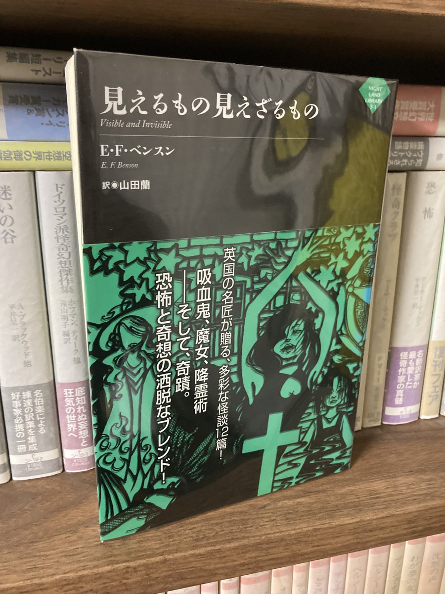 『見えるもの見えざるもの』E.F.ベンスン
#読了
ジャンル的なミソジニーが見受けられる作品もあるけど「忌避されしもの」がめちゃくちゃ最高。単なる悪とは異なる業で本質的に世界から拒絶されてしまった存在が語られるのですが純粋恐怖小説と言っていいほど純度が高い。
プレSF的な作品も良い。
