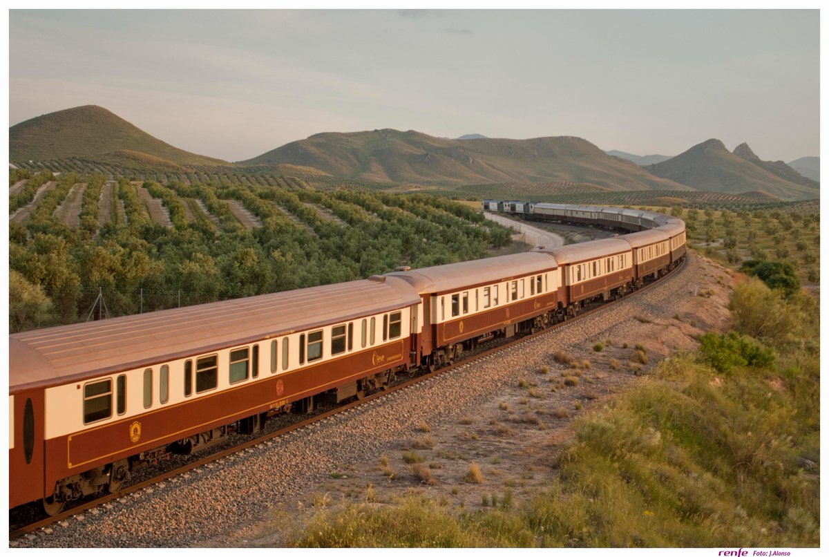 Spain in India tweet media