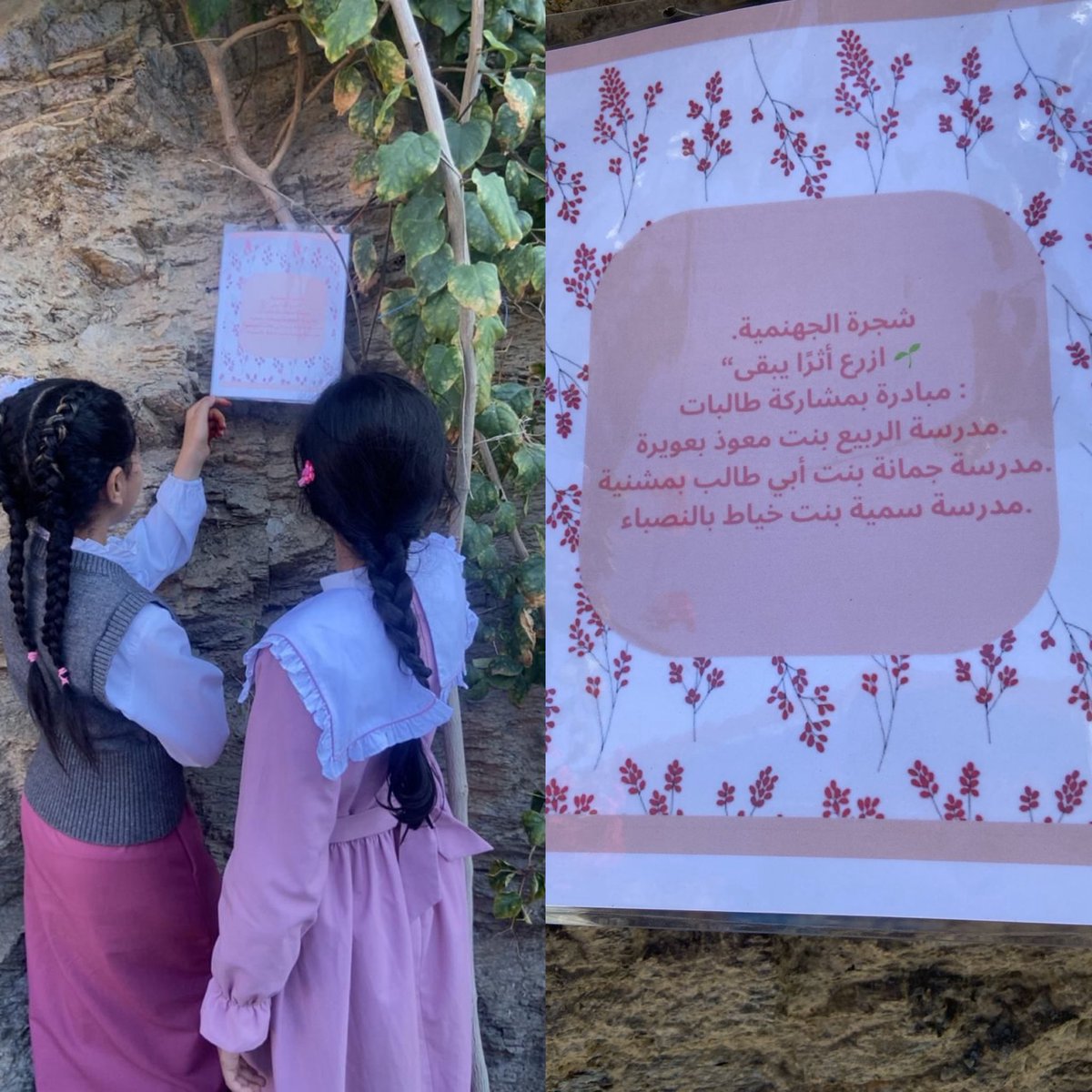 امتداداً لمبادرة السعودية الخضراء التي أطلقها سمو أمير المنطقة – يحفظه الله – نُفِّذت مبادرة البيئة المستدامة (التشجير)، وذلك بالتنسيق بين مدرسة الربيع بنت معوّذ بعويرة،ومدرسة جمانة بنت أبي طالب بمشنية، ومدرسة سمية بنت الخياط بالنصباء، وبالتعاون مع مزرعة أكواخ الحازم الريفية.