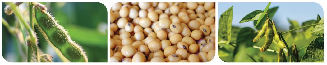 Groundwork BioAg tweet media