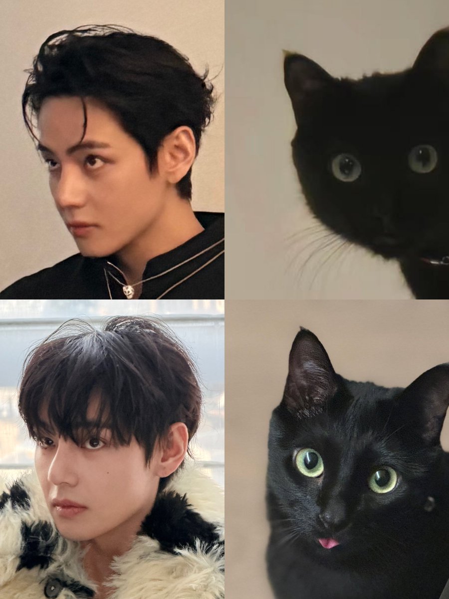 the kind of eyes yoongi couldn't say no to