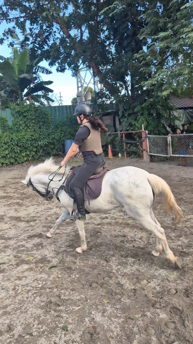 Reunited with the arena’s resident spicy crackhead pony who attempted to buck me off about four times.

Misty definitely chose violence today  🐎