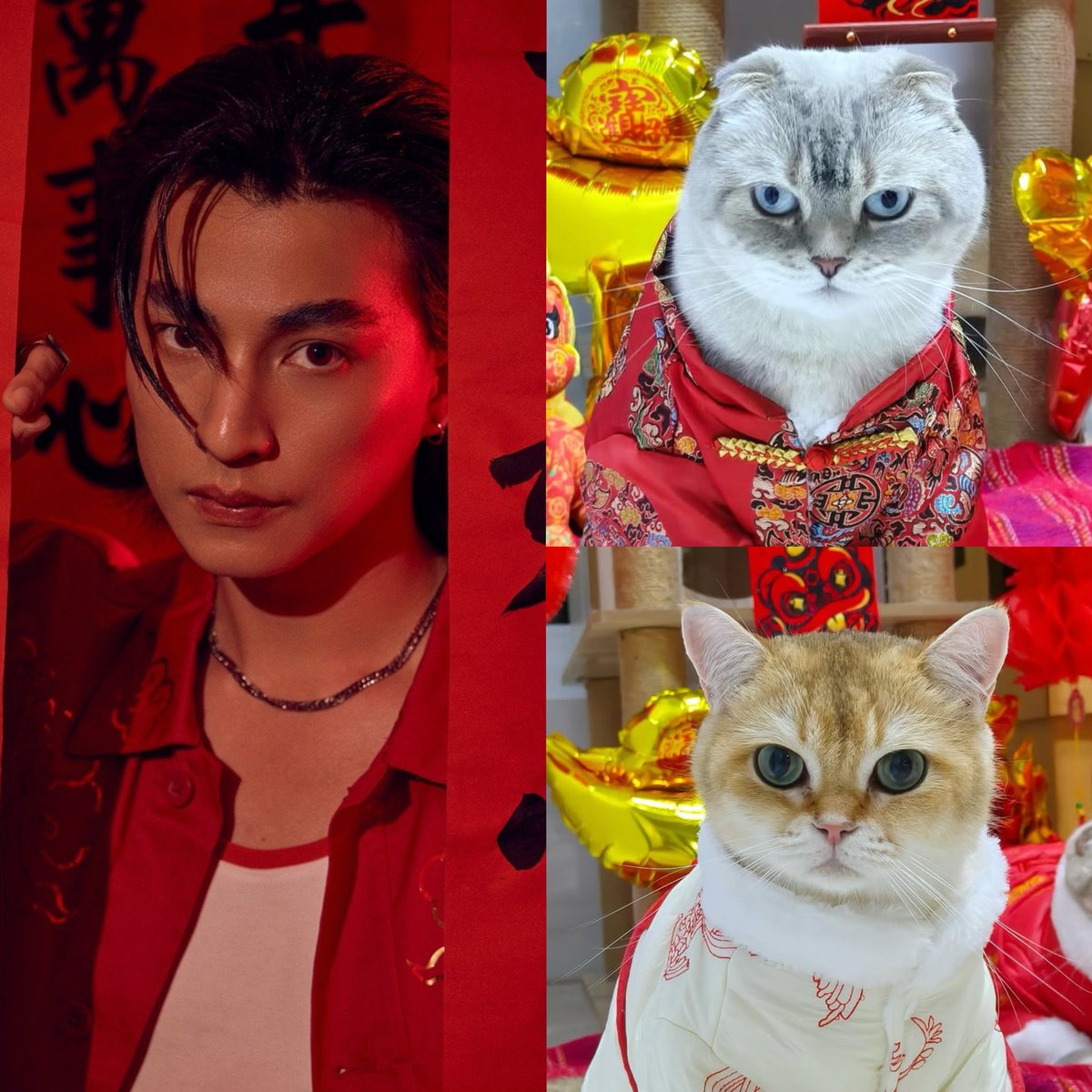 bowdorae's tweet image. โห  หน้านิ่ง สายตาคม สุขุม หล่อเท่ น่าเกรงขามกันทั้งบ้าน 🧧❤️😻

#HappyChineseNewYear
#GulfKanawut #กลัฟคณาวุฒิ 
#อาซาร์แมวเซา #ก็องเต้แมวซน