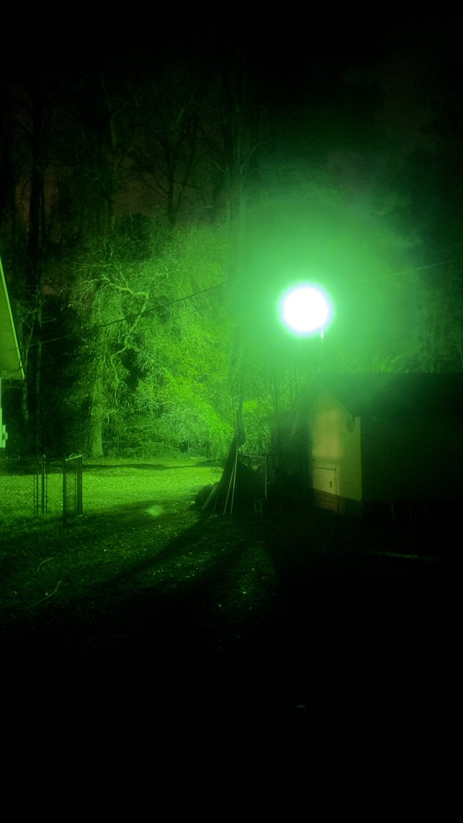 indie sleaze groyper tweet media