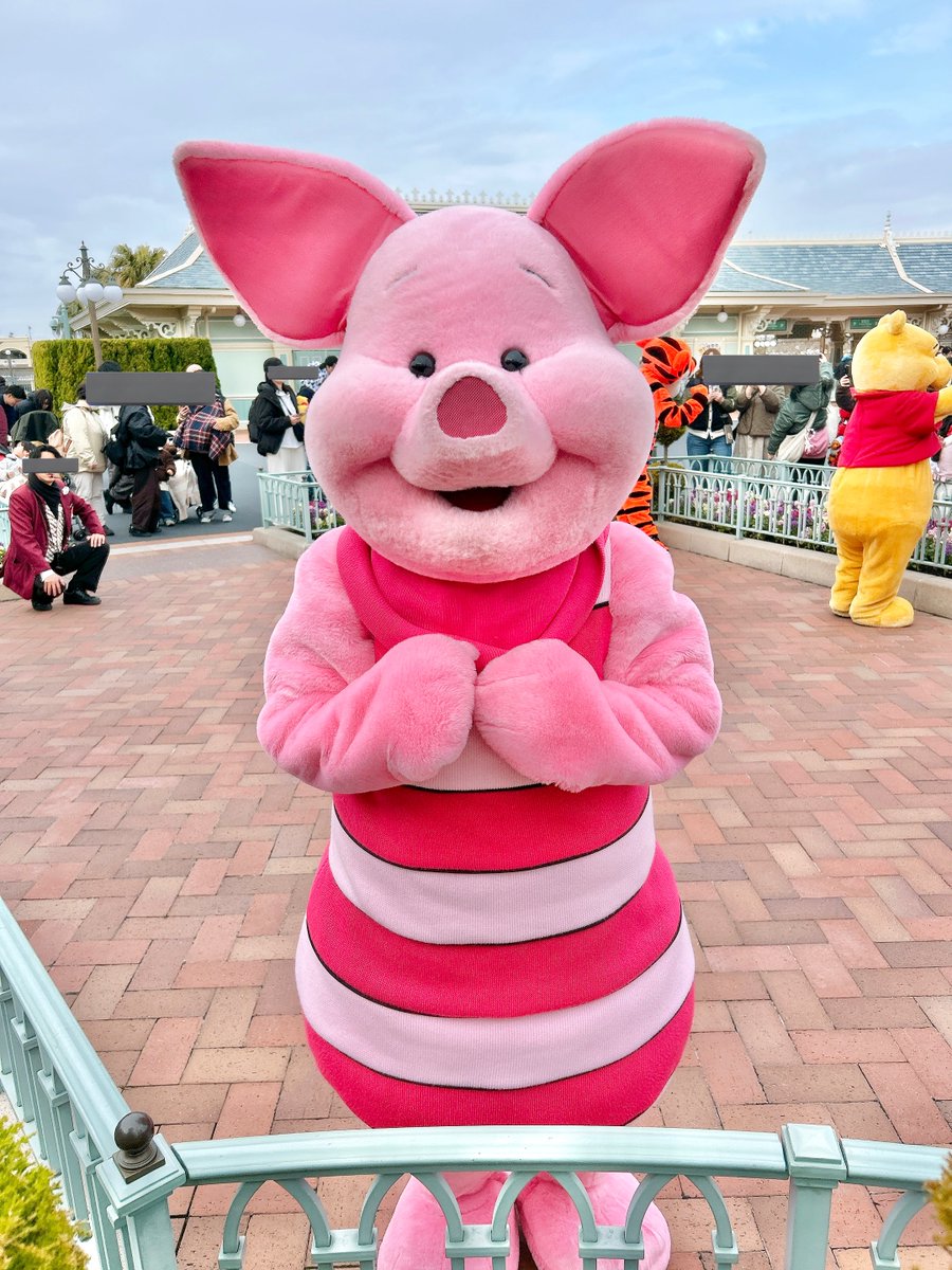 ピグレット🐷 (@pigletniaitai) / Posts / X