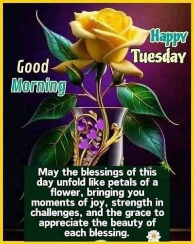 Good morning X family from beautiful mid-Missouri! We are expecting 68 and sunny today, WHOO HOO! Wherever you are, may your day be sunny and warm too!