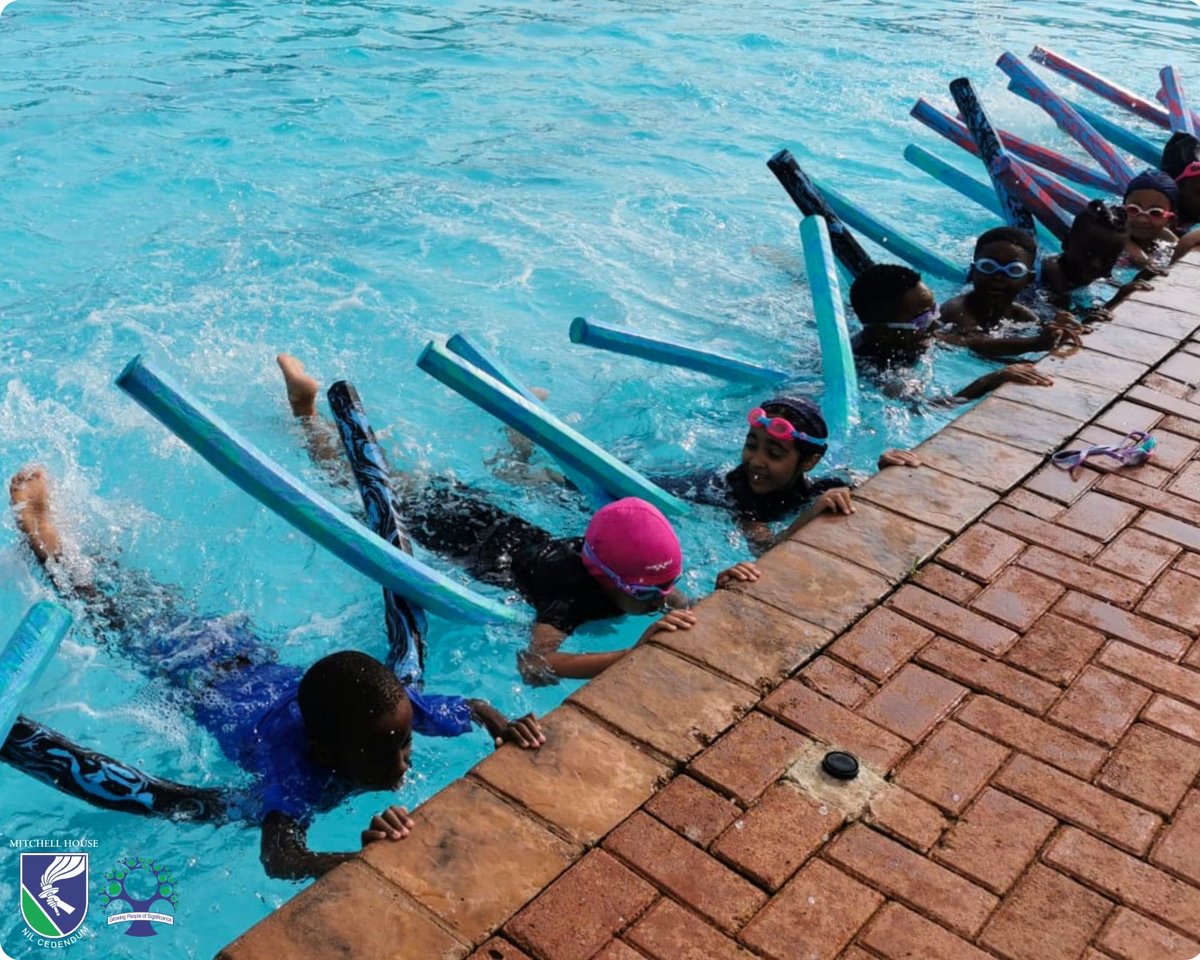 Ready, set, LEARN! 💦

Weekly swimming lessons are back!  The Squirrels are building water confidence while our Grade 1s level up in the big pool!✨

#MitchellHouse
#PrepSchoolPreRtoGrade7
#GrowingPeopleOfSignificance