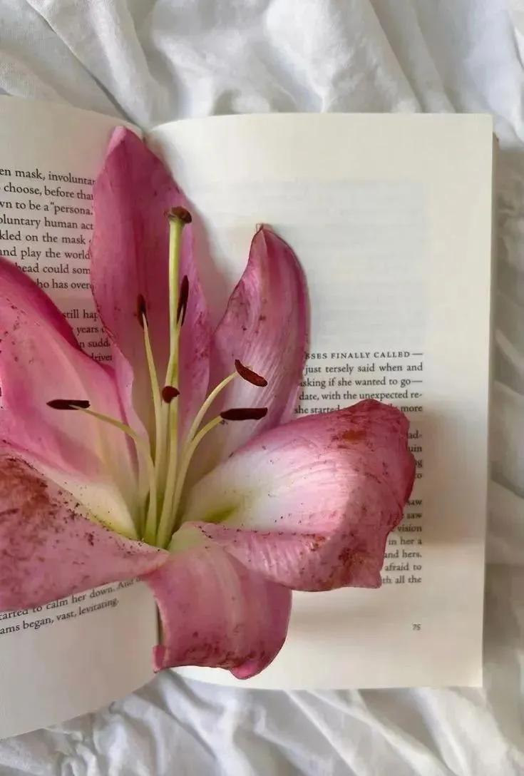 worldclick56's tweet image. 