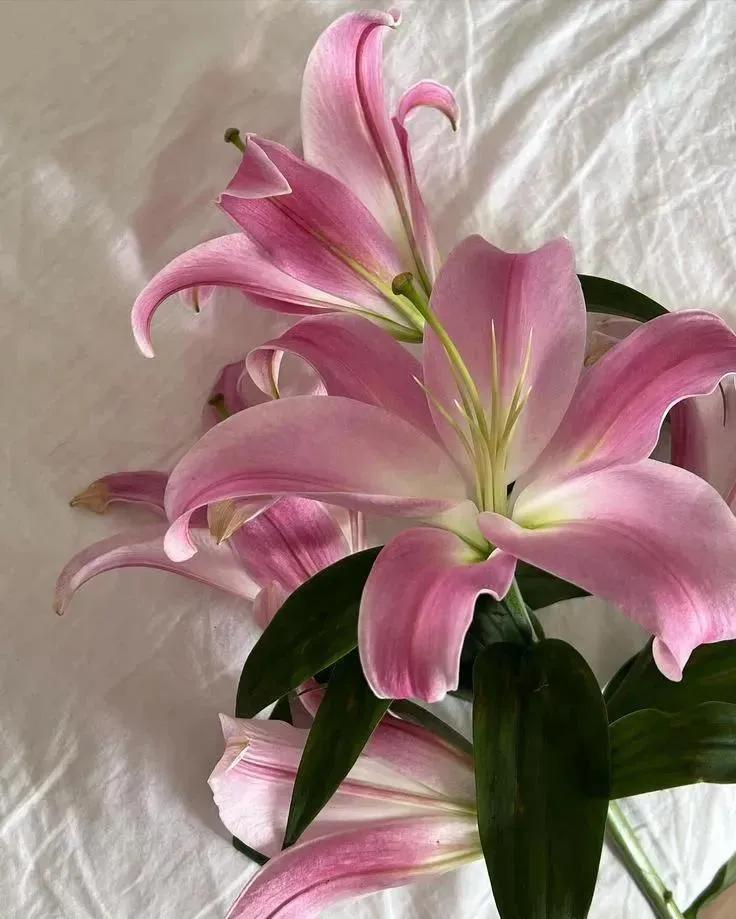 worldclick56's tweet image. 