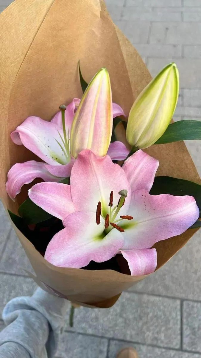 worldclick56's tweet image. 