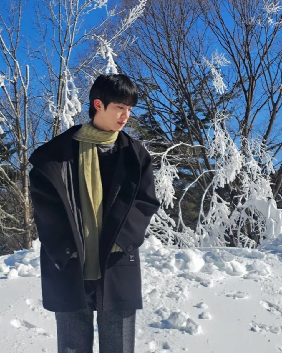 my winter babies 🥹