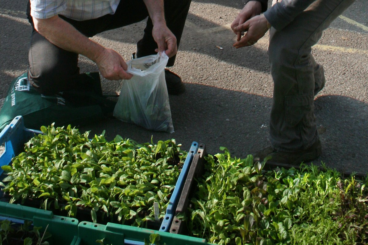 OGAgrowers's tweet photo. New #OrganicGrower Podcast OGPod 35: Plant Sale Q&amp;A. James responds to qs about running a plant sale as an add-on to a veg growing enterprise, based on his experience of developing a profitable plant sale enterprise at Cotswold Market Garden/Conygree Farm https://t.co/DuHUikQKBd https://t.co/5pR77vGsEH