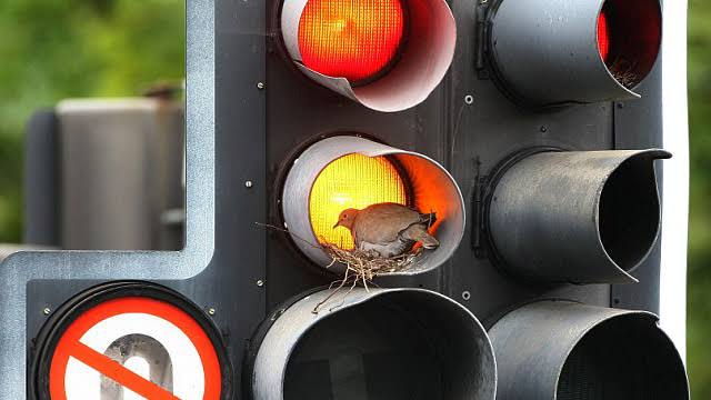 Betonlaşan sadece şehirler değil, aynı zamanda kalpler.
Dücane Cündioğlu