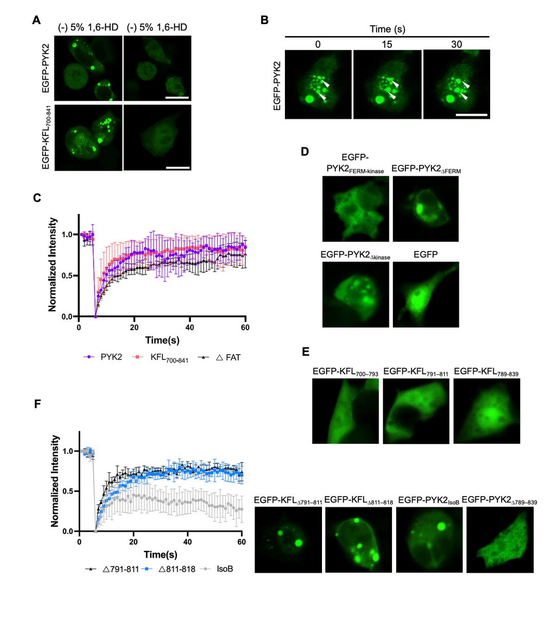 Structural Biology and Engineering @ KAUST tweet media