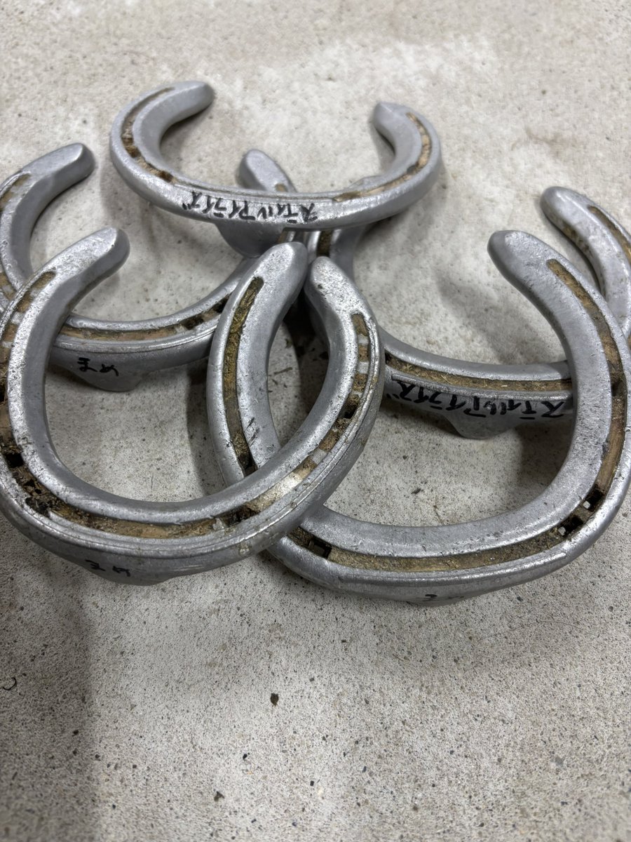 kato_kazuhiro_'s tweet image. スティルアイライズことまめちゃん可愛かったですよねぇ
まめちゃんロスありますよね

そんなまめちゃん好きな方達にスティルアイライズの蹄鉄を5名様にプレゼントします🎁
コメントくれた中から選びます

前後は選べません

まめちゃん好きは是非応募ください

蹄鉄　お守りでググってみてください