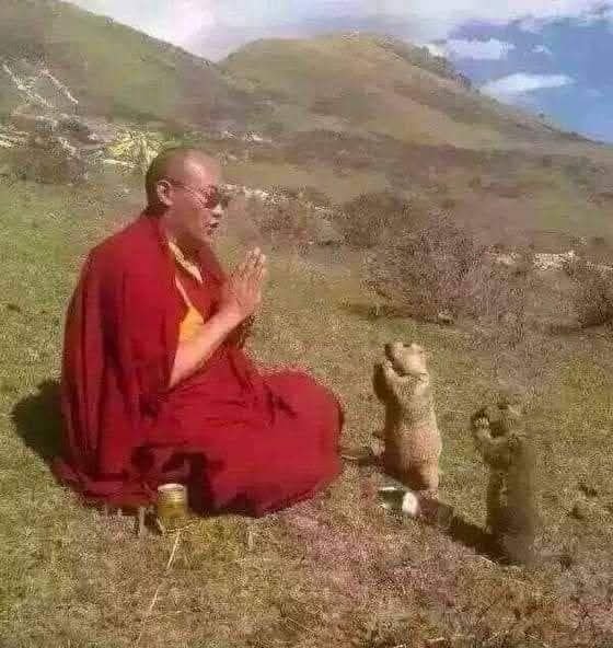 insane poses (@insaneposes) on Twitter photo 