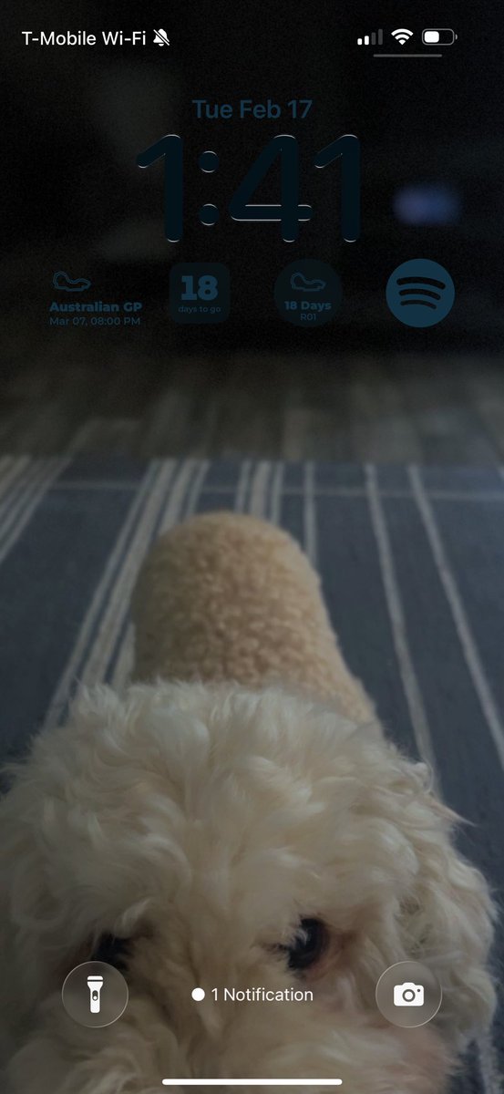 aly𖦹 ☼。˚❀*·ꕤ tweet media