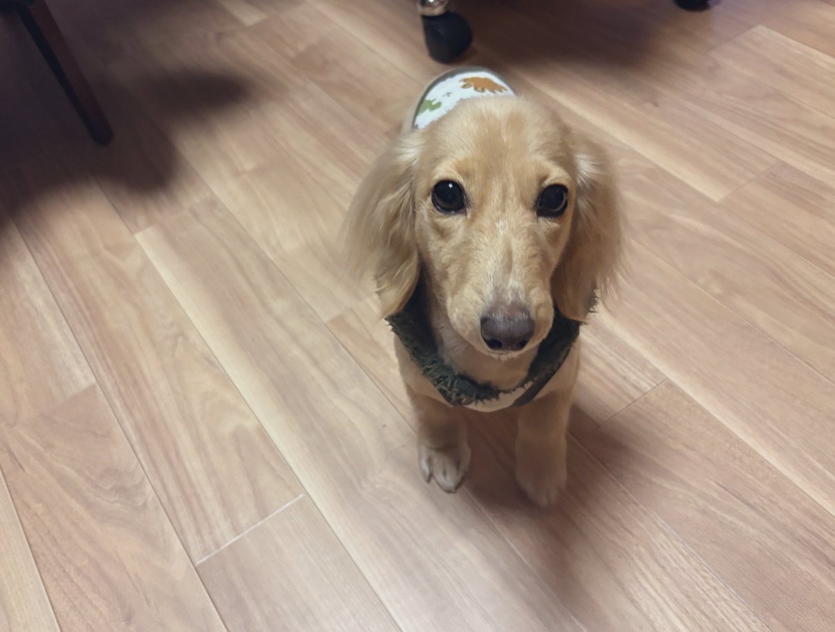 そると🧂 tweet media