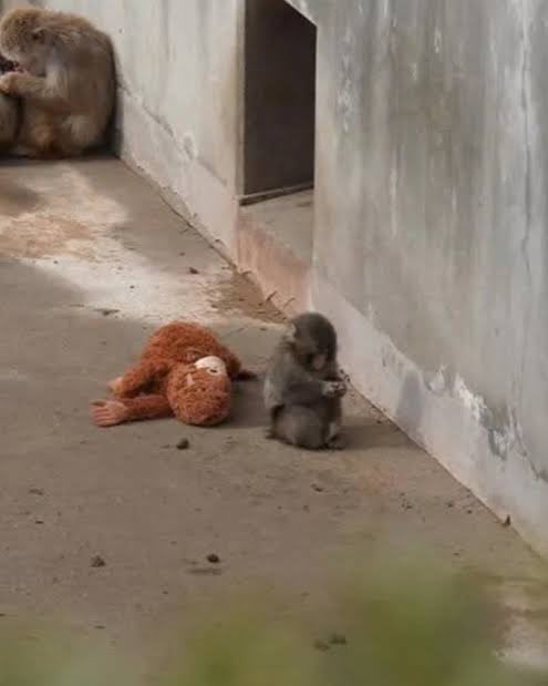 ใครจะทะเลาะไรก็ทำไป ส่วนอาม่าเอ็นดูน้องพั้นเพราะเหมือนเห็นหลานตัวเอง 55555