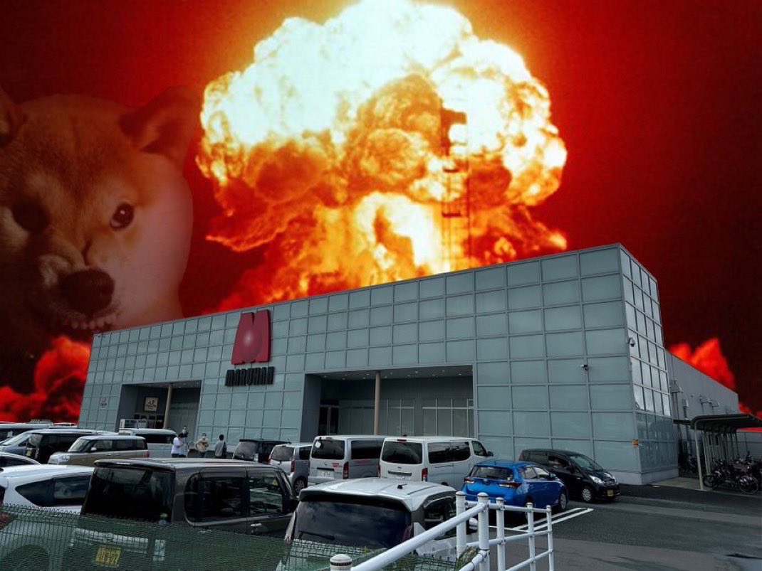 なめこ (@nameko_hachikou) / Posts / X