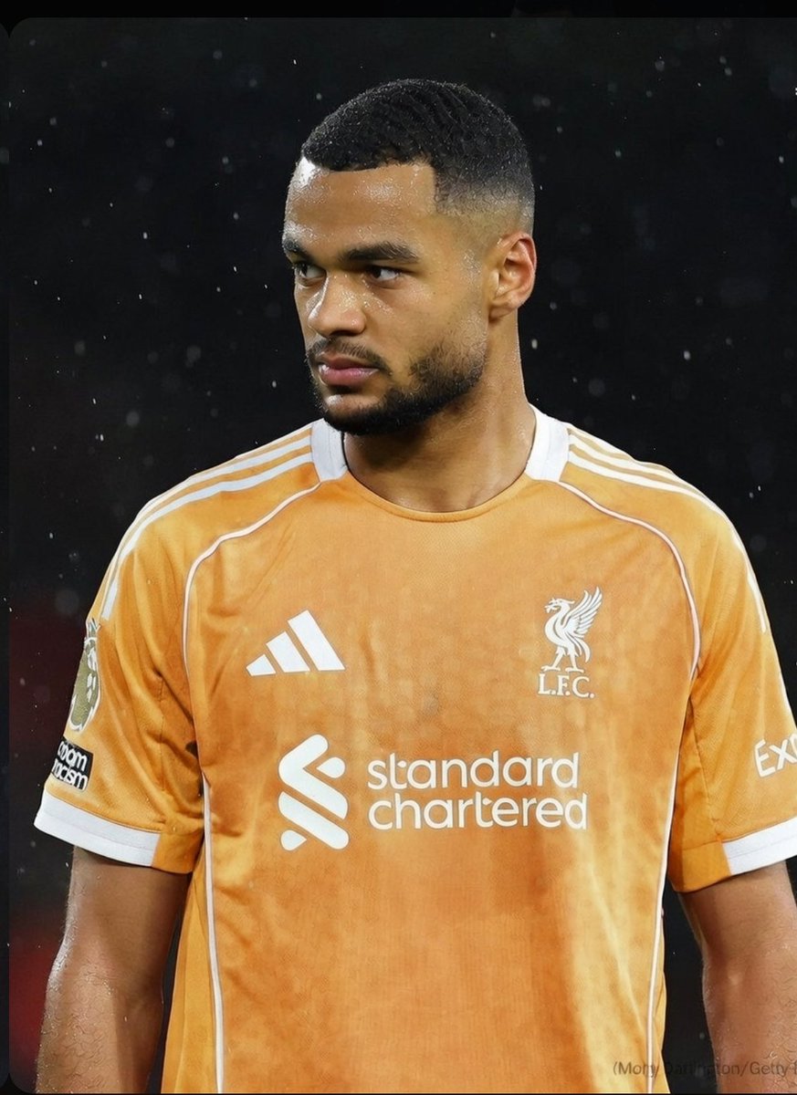 ℝ𝔼𝔻𝔽𝔼𝕃𝕃𝔸𝕊 🔴 tweet media