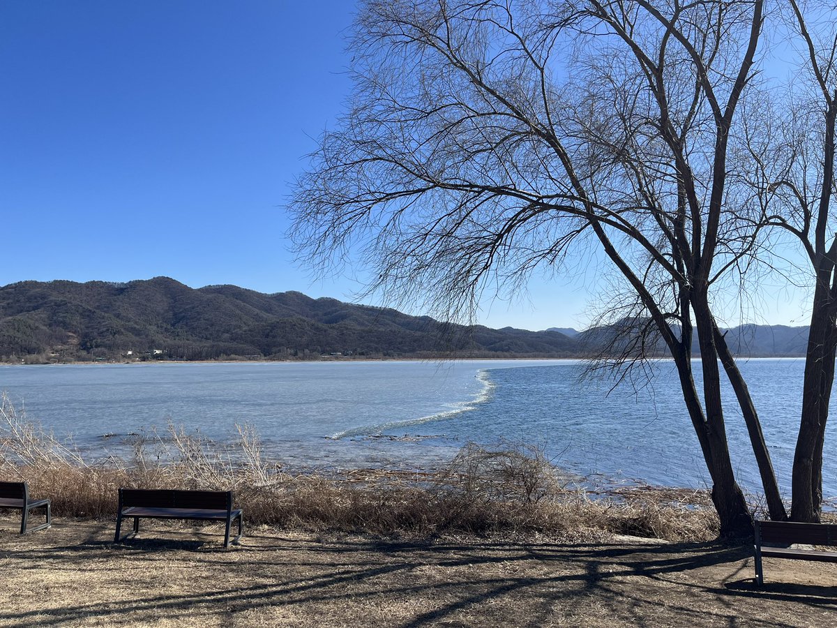 Colin Crooks | 콜린 크룩스 tweet media