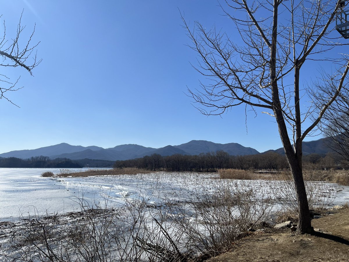 Colin Crooks | 콜린 크룩스 tweet media