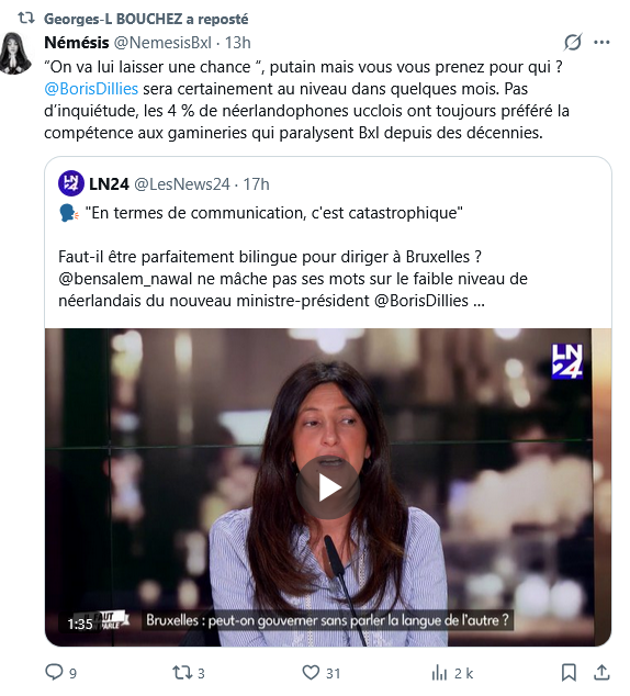 Pour la majorité des associations féministes historiques, Némésis n'est pas un mouvement féministe mais un satellite de l'extrême droite qui instrumentalise les agressions sexuelles à des fins électorales et idéologiques.