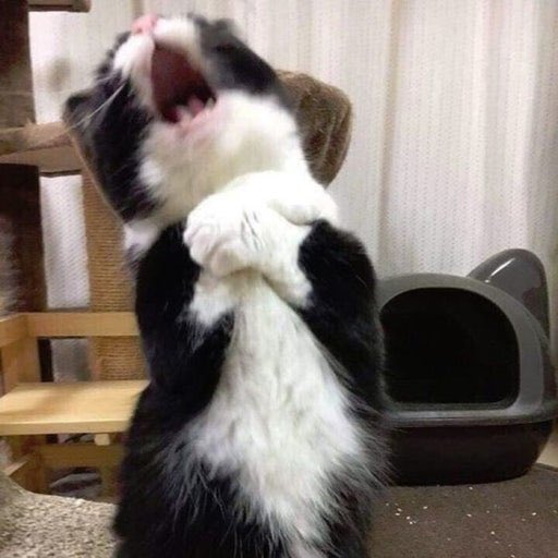 은지언니 위버스 프사 바꾸셨네 ㅋㅋㅋㅋㅋㅋㅋㅋㅋㅋㅋㅋㅋㅋ 정은지 귀여워,,,