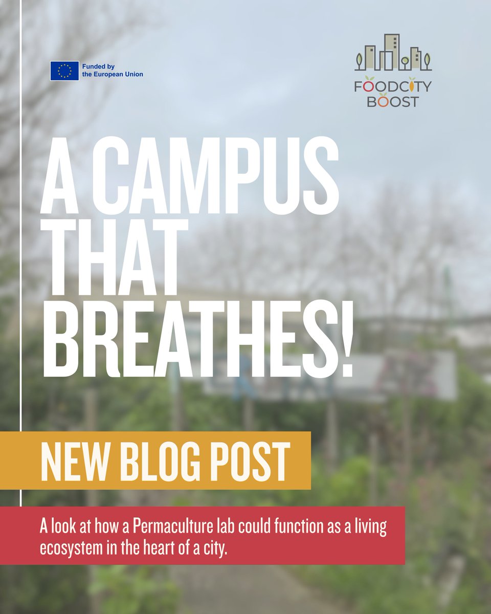 foodcityboost's tweet photo. 🌿 When a campus becomes a living ecosystem! 🌍
In Lisbon, #PermaLab has turned university campus into a thriving #UrbanAgriculture Living Lab.
A hands-on approach that reflects the core ambition of #FOODCITYBOOST.
📖 https://t.co/YIj6dxzKMK
#HorizonEurope #LivingLabs https://t.co/eQcOJW3fgg