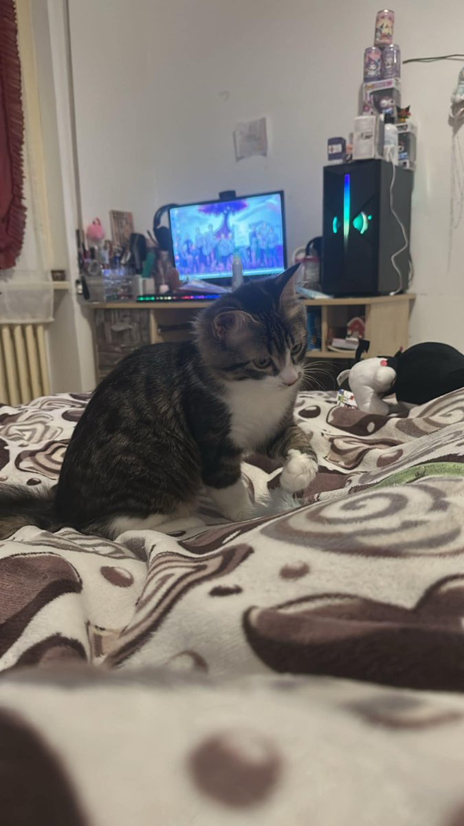 unonlus's tweet image. #Akio #adottato ❤️❤️❤️❤️❤️❤️