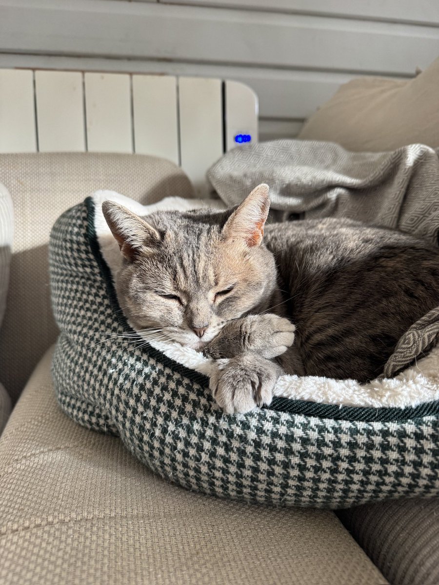 Sophie Green tweet media