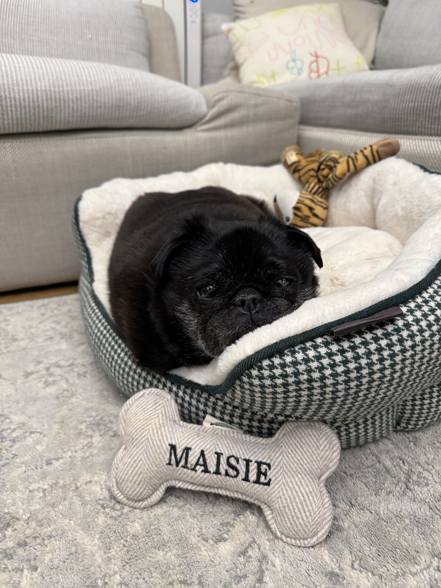 Sophie Green tweet media