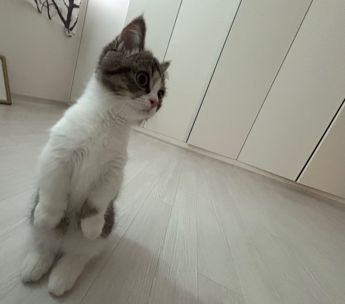 louisiapa's tweet image. 260217 #LOUIS weverse update 📝

“hello everyone, are you spending lunar new year well? ☺️☺️☺️ i’m doing well too and i’ve been spending time with hunter!”