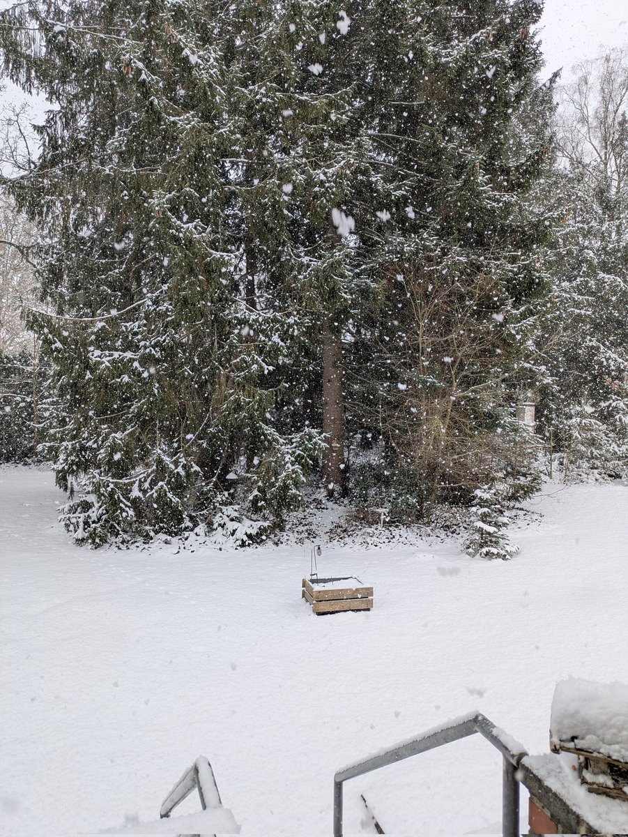 Ups... Dicke Schneeflocken...