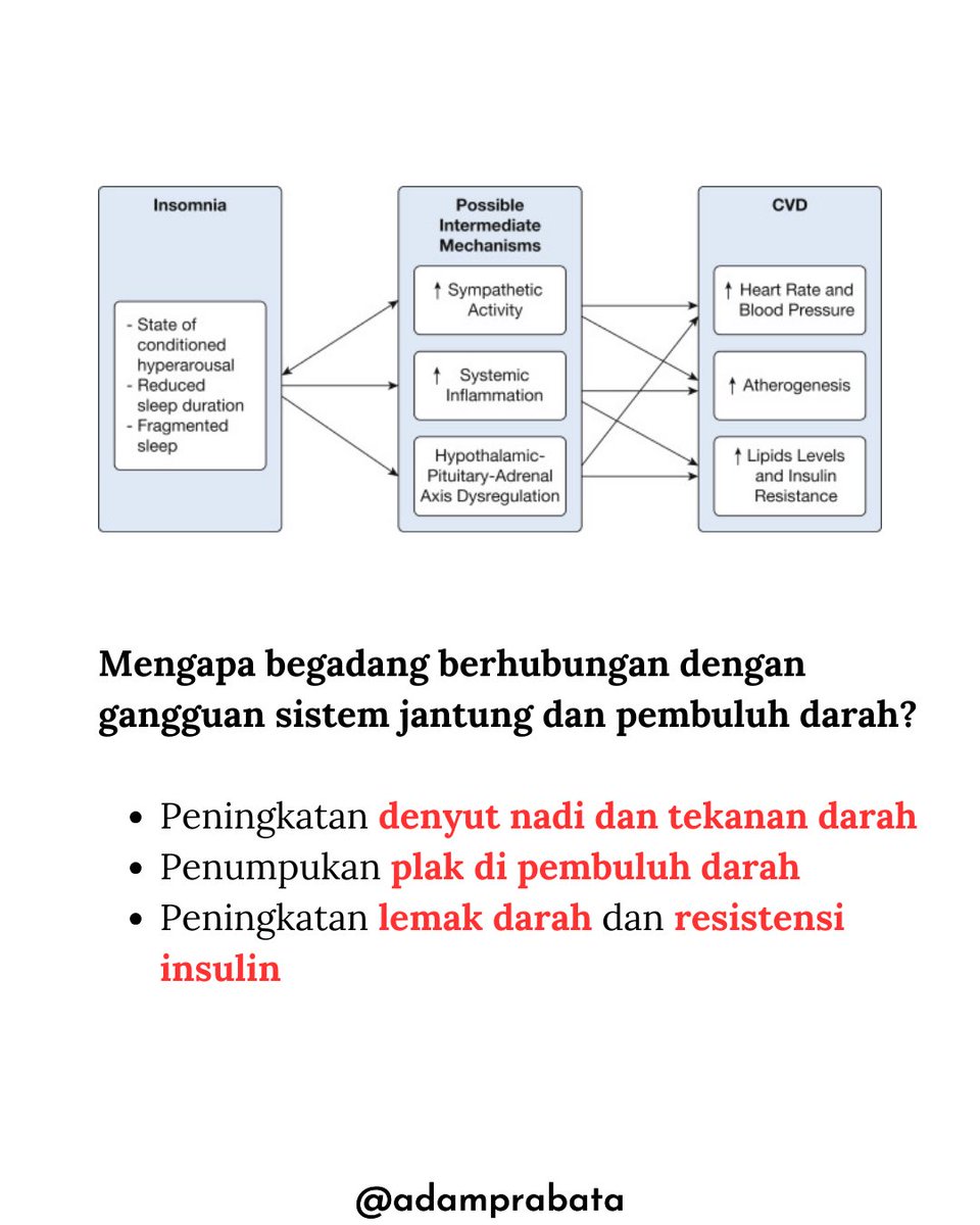 Kebiasaan begadang adalah risiko kardiovaskular yang terakumulasi.

Data terbaru dari studi terhadap 4.576 orang dewasa mengungkapkan asosiasi yang mengkhawatirkan antara jam tidur dan kesehatan jantung. Penelitian ini menunjukkan bahwa individu yang rutin begadang memiliki