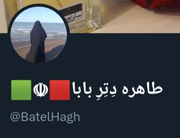 ویل🇮🇷 tweet media