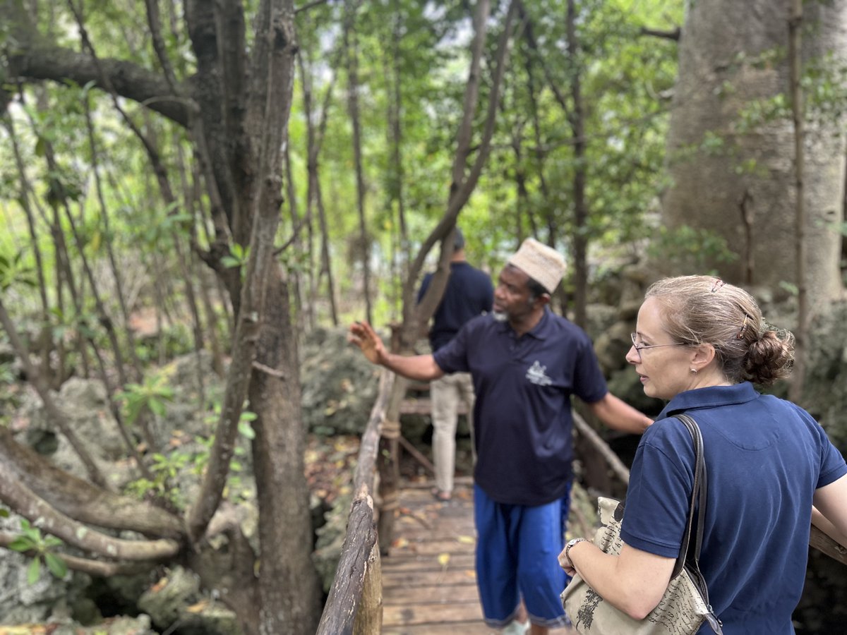 Marianne Young FCDO tweet media