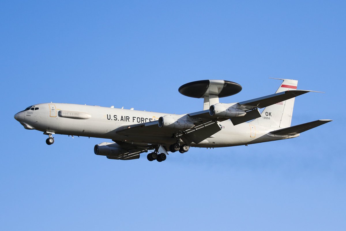 Kory ✈️ tweet media