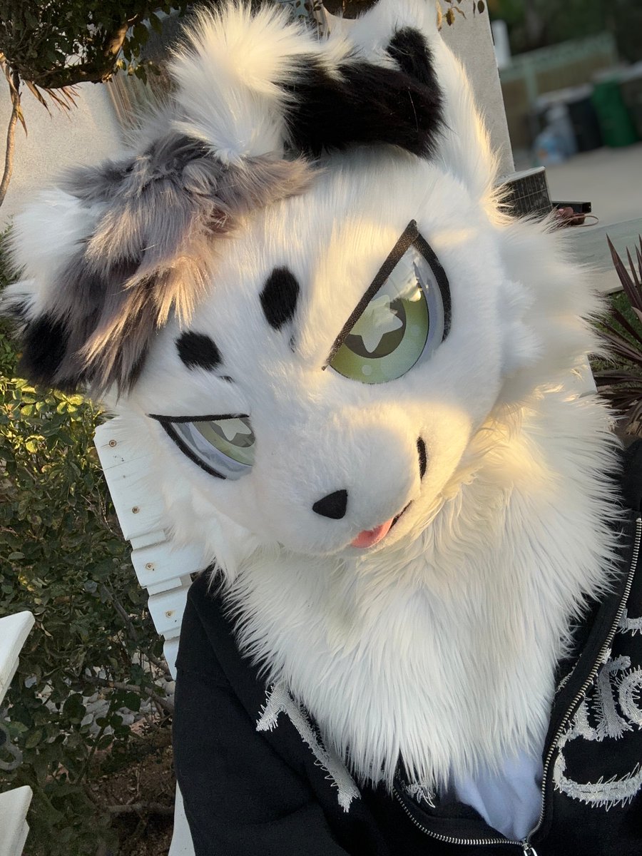 wurmo 🔜 LVFC tweet media