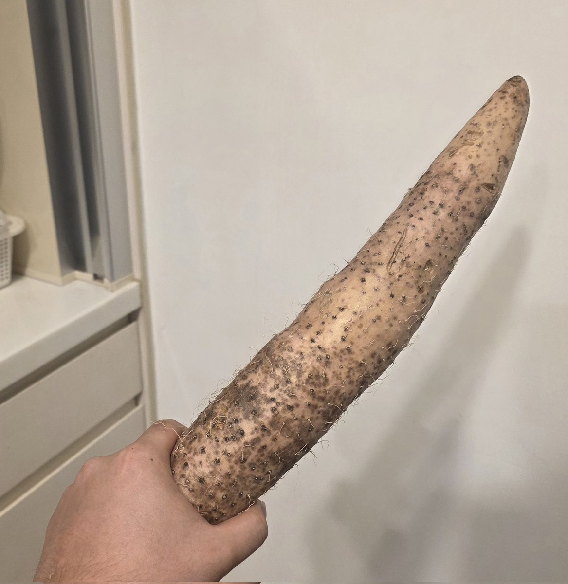 初一要幹嘛？
RTX ON！！！
男子拿著山藥聖劍的示意照（？
（非山藥聖劍本體）