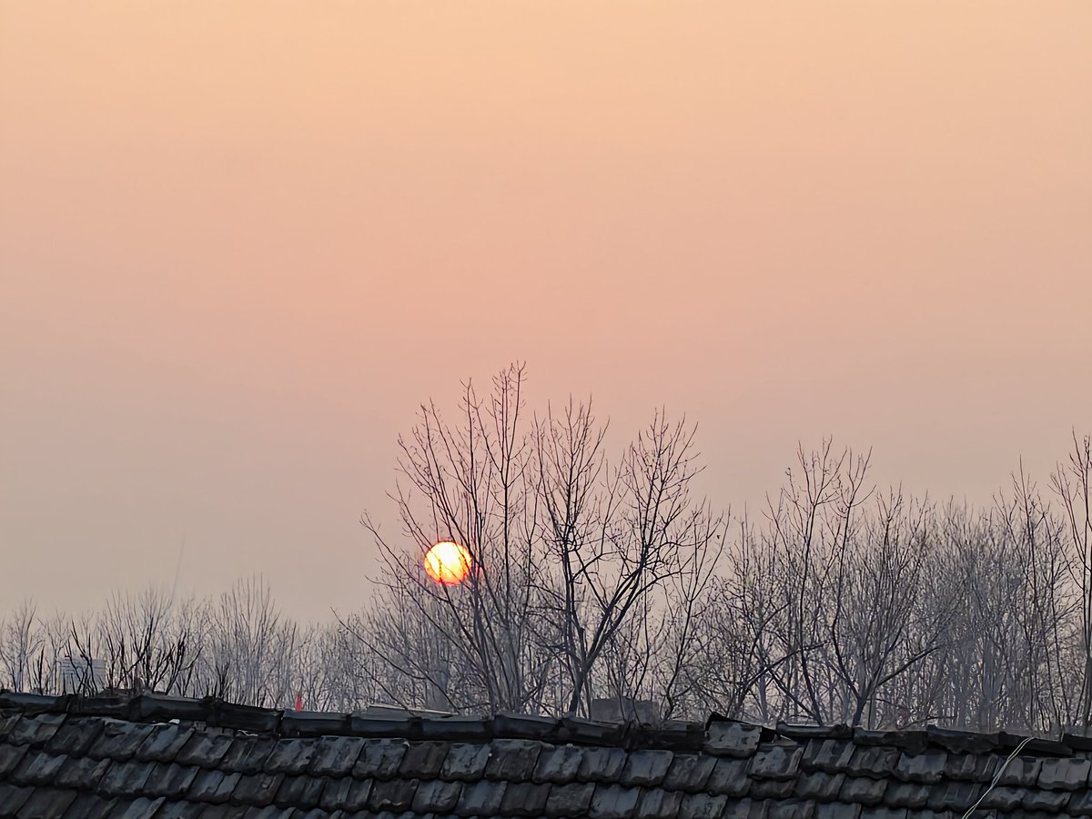 原来向往的是这个，再撸下毛，完美！