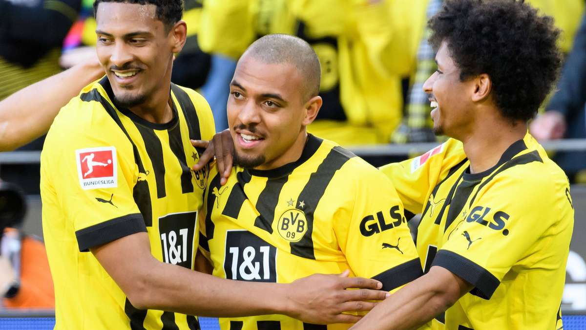 Foxsky 🐝🇩🇪🇹🇭 tweet media