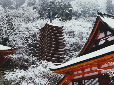 稀羅浩路（キラコウジ） tweet media